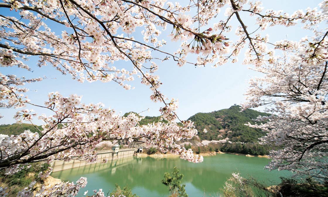 奥山雨山自然公園