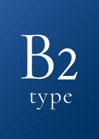 B2 type