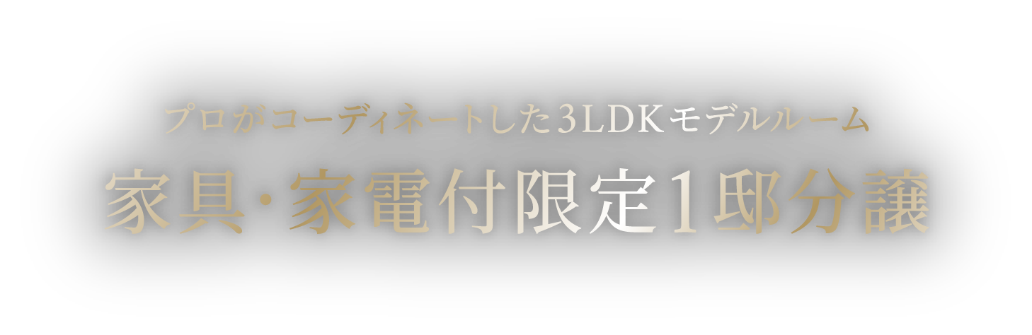 プロがコーディネートした3LDKモデルルーム 家具・家電付限定1邸分譲