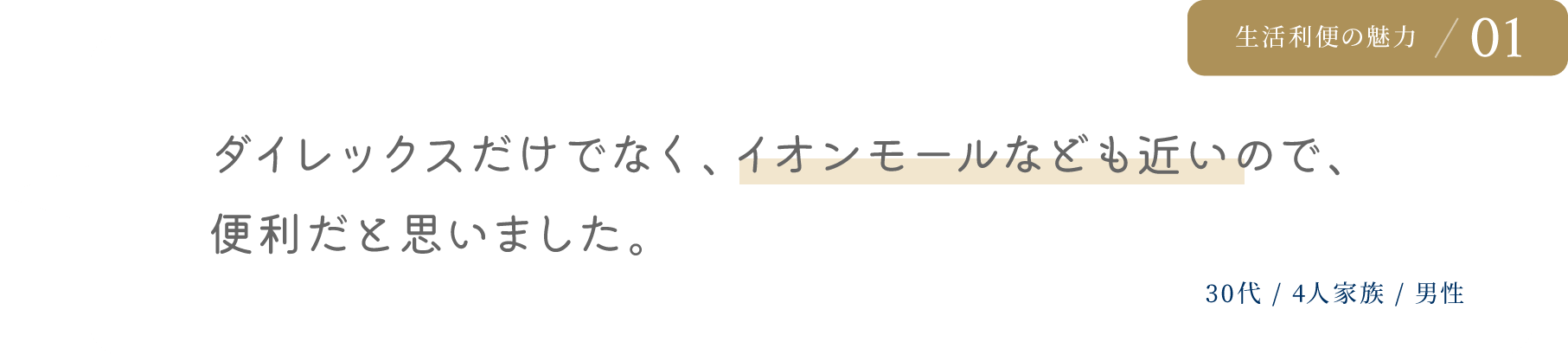 ダイレックスだけでなく、イオンモールなども近いので、
便利だと思いました。